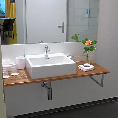 Hotel Baeren 3*