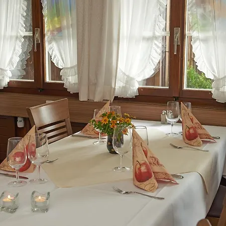 Πανδοχείο Hotel Baeren